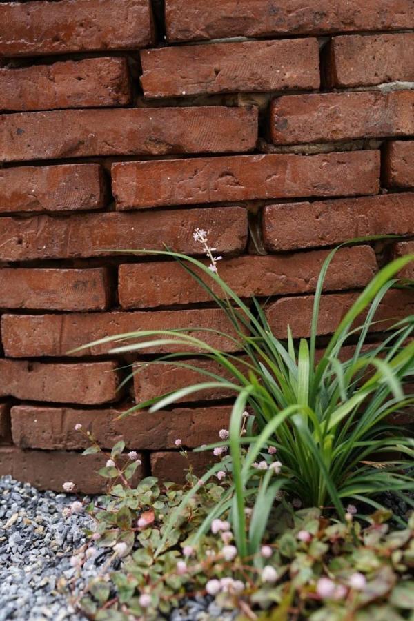 Bloomin' Moon Hostel & Cafe, Chiang Mai Old Town Екстер'єр фото